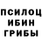 Псилоцибиновые грибы GOLDEN TEACHER JustBruh #JustGaming