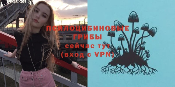 амф Алзамай