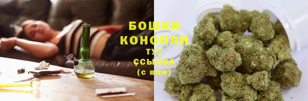 spice Алексин
