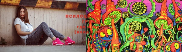 амф Алзамай