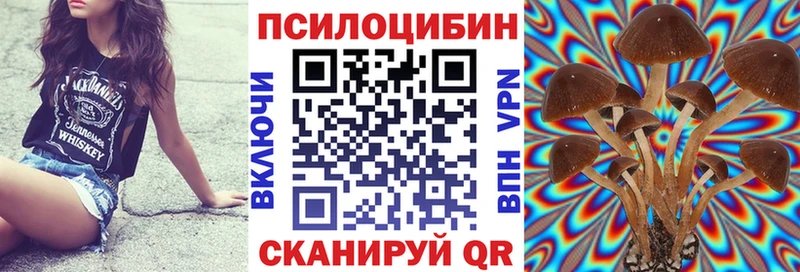 Псилоцибиновые грибы MAGIC MUSHROOMS  ОМГ ОМГ tor  Любань  где можно купить  